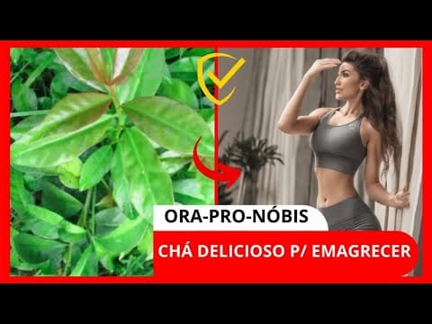 Chá de Ora-Pro-Nóbis Para Emagrecer – Receita Deliciosa + Benefícios!