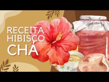 Chá de Hibisco Para Emagrecer: Como Preparar e Quais Seus Benefícios?